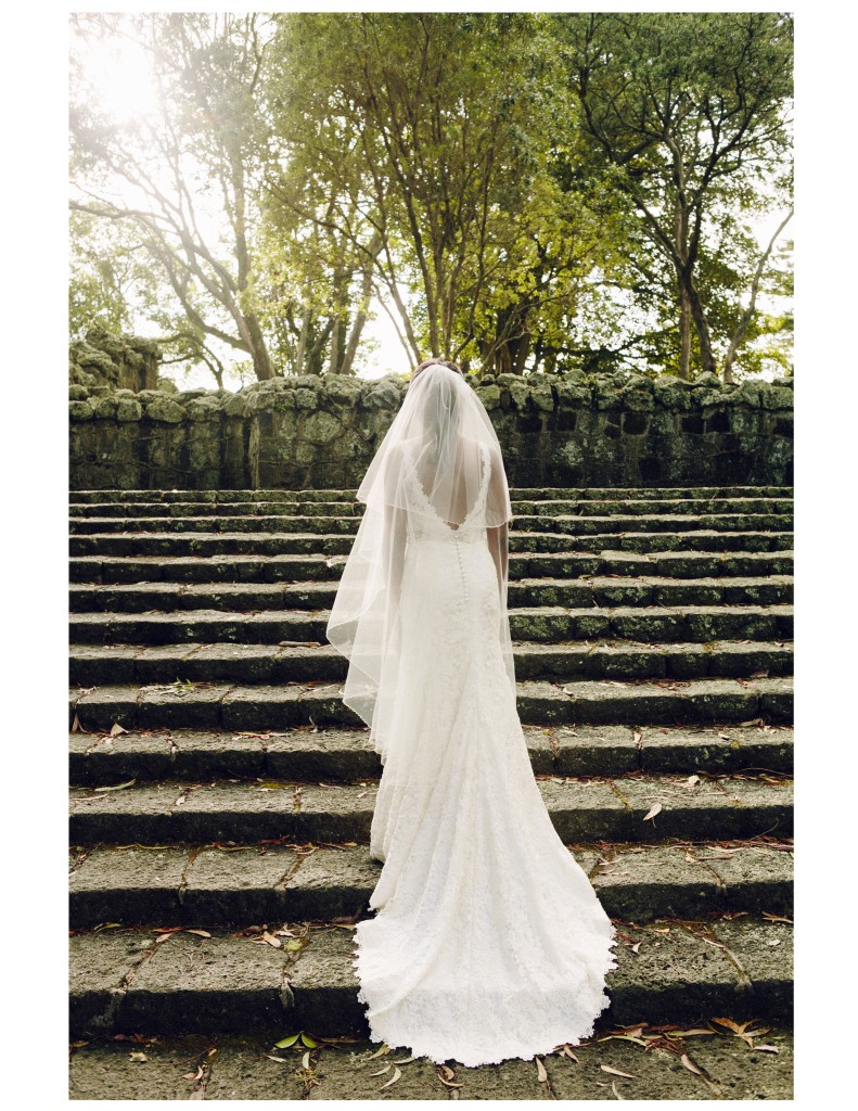 Bride on the Kauri Steps at Cornwall Park