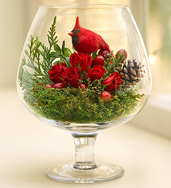 Red Cardinal Terrarium