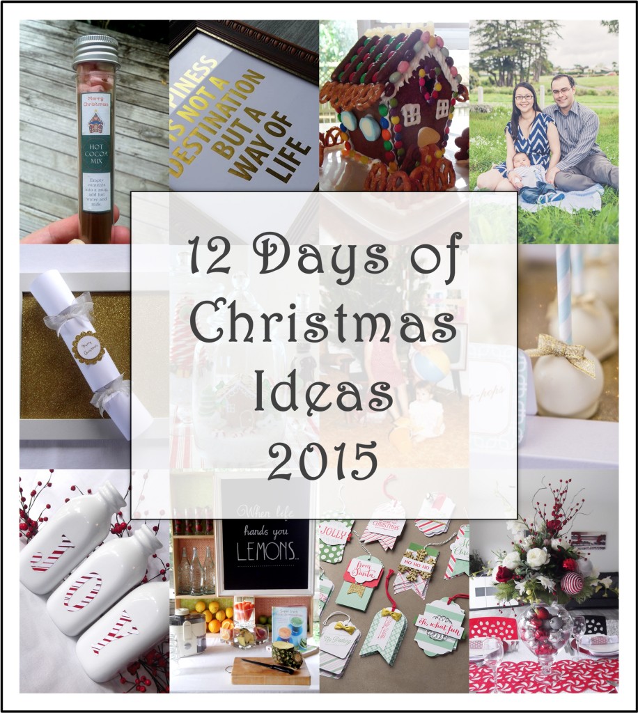 12 Days of Christmas Ideas 2015