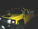 Front Shot of Yellow Hummerzine